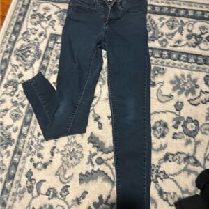 Classic Blue Skinny Jeans for Women